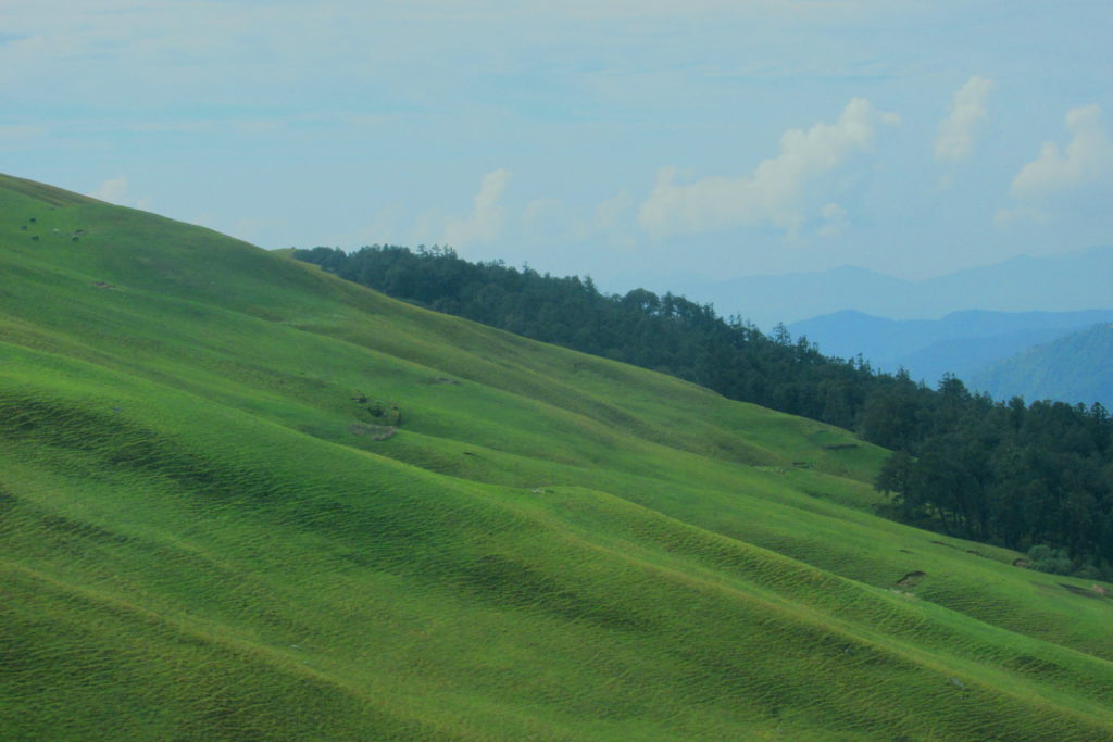 Ali Bugyal on Roopkund Trek